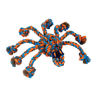 MAMMOTH SNAKEBITER SPIDER MAMMOTH SNAKEBITER SPIDER
