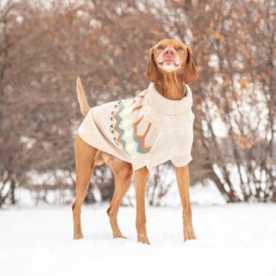 GFPET SWEATER CAFE CLARO 2 XL