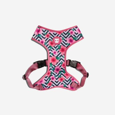 ZEEDOG MAHALO AIR MESH PLUS HARNESS1