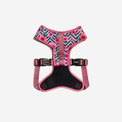 ZEEDOG MAHALO AIR MESH PLUS HARNESS