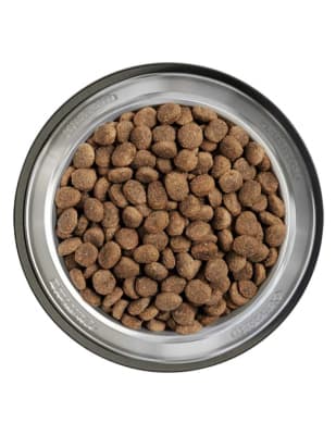 BELCANDO FINEST CROC