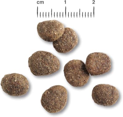 BELCANDO FINEST LIGHT