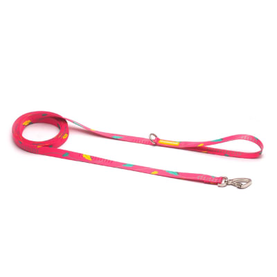 CACHORREIROS CORREA LARGA SAMAUMA 5 MTS1