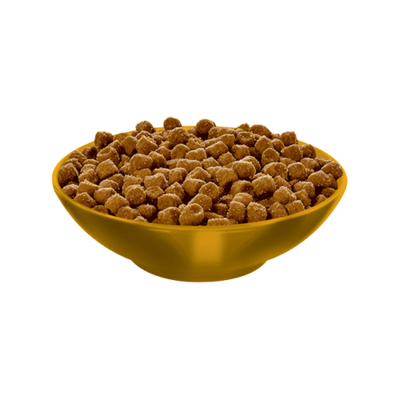 HILLS FELINE ADULT 7+ HAIRBALL CONTROL