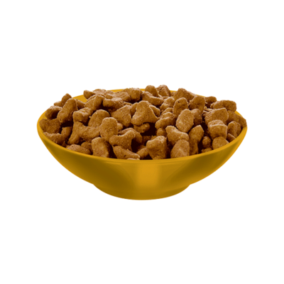 HILLS FELINE ADULT 7+ INDOOR