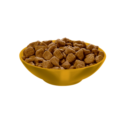 HILLS FELINE ADULT INDOOR