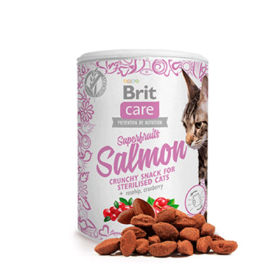 BRIT CARE CAT SNACK SUPERFRUITS SALMON