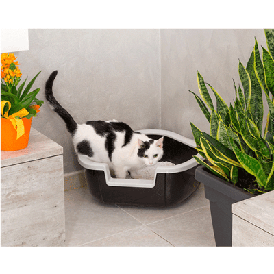 FP BANDEJA SANITARIA ESQUINA, DAMA