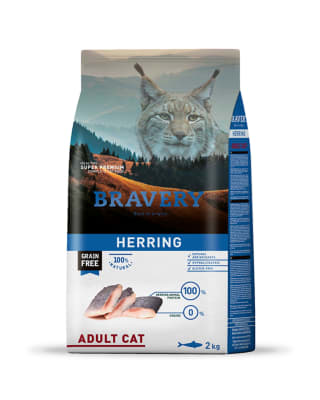 BRAVERY HERRING ADULT CAT