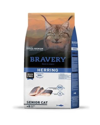 BRAVERY HERRING SENIOR CAT