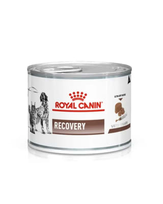 ROYAL CANIN RECOVERY RS1