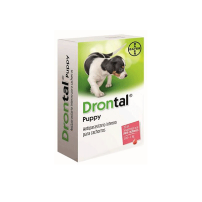 DRONTAL PUPPY