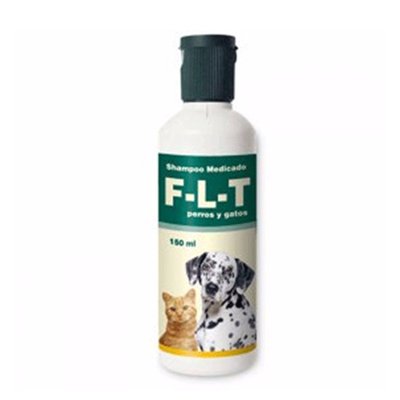 FLT SHAMPOO