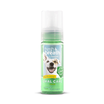 TROPICLEAN FRESH MINT FOAM