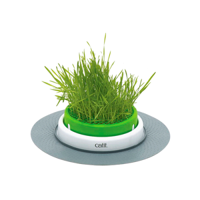 CATIT SENSES 2.0 GRASS PLANTER1