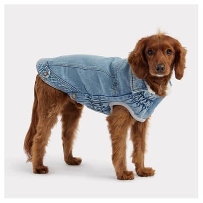 GF CHAQUETA DENIM LIGHT WASH