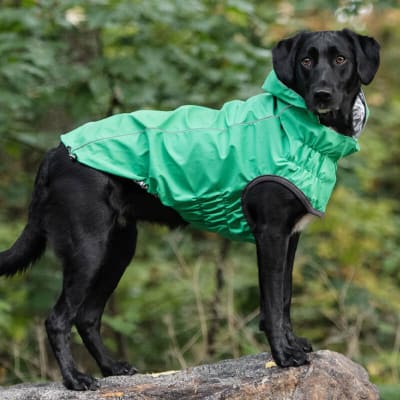 GFPET IMPERMEABLE REVERSIBLE VERDE