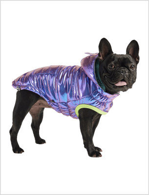 GFPET PARCA IRIDISCENTE