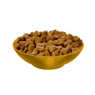 HILLS FELINE ADULT HAIRBALL CONTROL