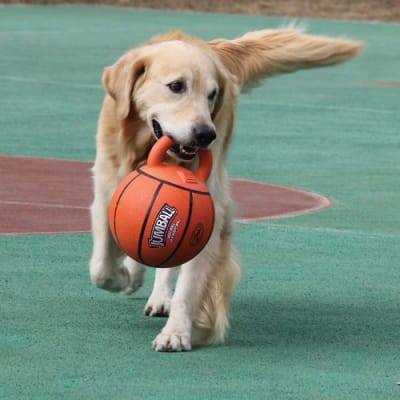 JUMBALL BASKET