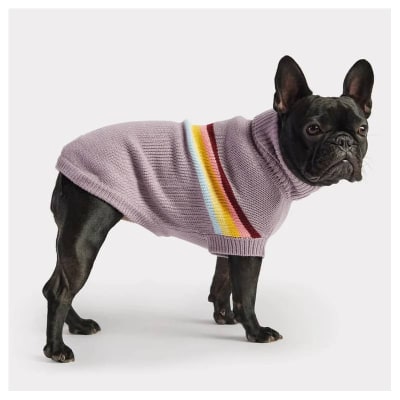 GFPET SWEATER LAVANDA1