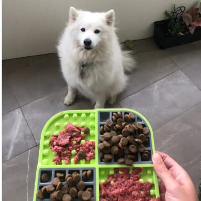 LICKIMAT SLOMO LICKIMAT SLOMO