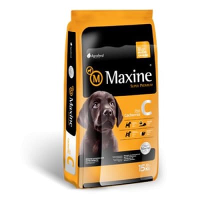 MAXINE CACHORRO