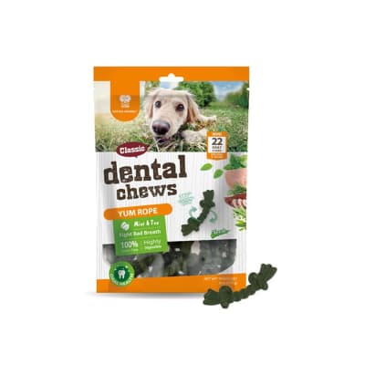DENTAL CHEWS TOOTHBRUSH