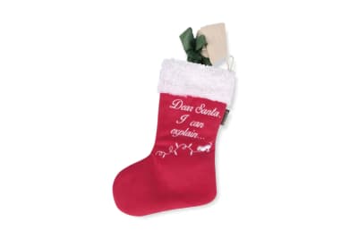 PLAY MERRY WOOFMAS DOG