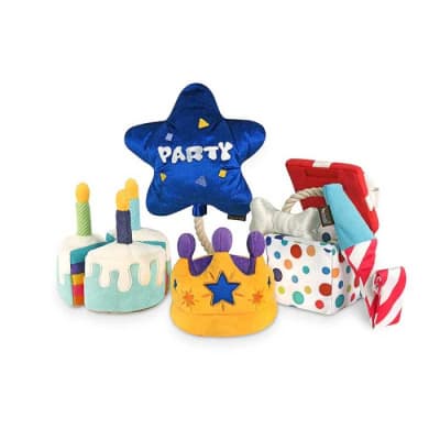 PLAY PARTY TIME6