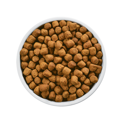 HILLS CANINE r/d