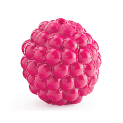 PLANET DOG FRAMBUEZA