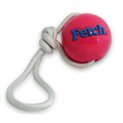 PLANET DOG FETCH BALL
