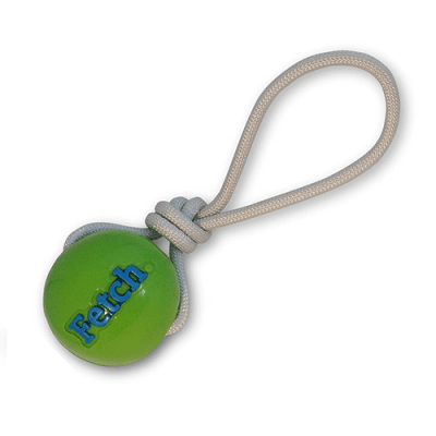 PLANET DOG FETCH BALL