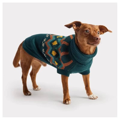 GFPET SWEATER PETROLEO