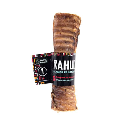 RAHUE TRAQUEA VACUNO