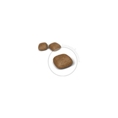 ROYAL CANIN FCN URINARY CARE