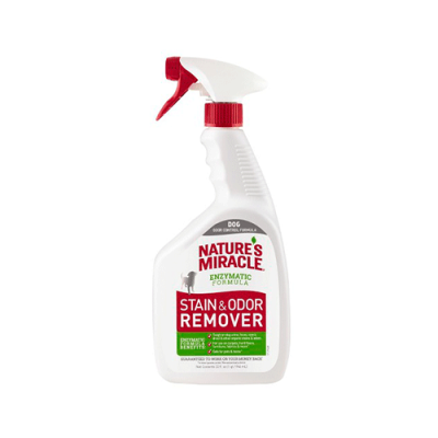 NM STAIN & ODOR REMOVER