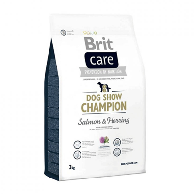 BRIT CARE DOG SHOW CHAMPION SALMON