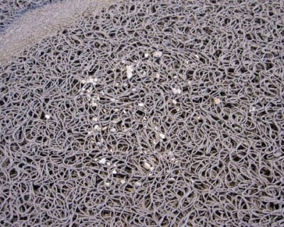CATIT ALFOMBRILLA BAÑO SANITARIO