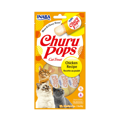 IB CHURU POPS CHICKEN RECIPE