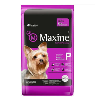 MAXINE ADULTO RAZA PEQUEÑA