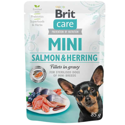BRIT POUCH MINI SALMON&HERRING FILLET