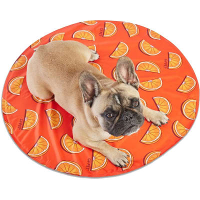 GFPET ICE MAT REDONDO NARANJA