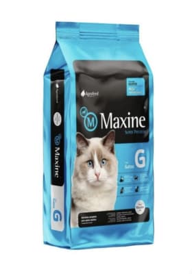 MAXINE GATO1