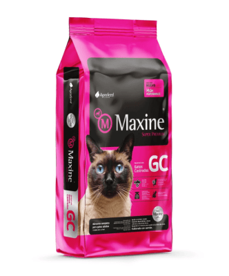 MAXINE GATO CASTRADO
