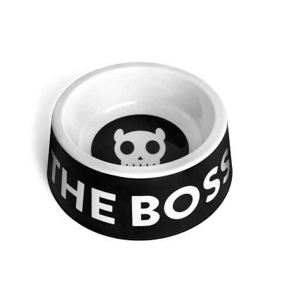 ZEEDOG IM THE BOSS BOWL