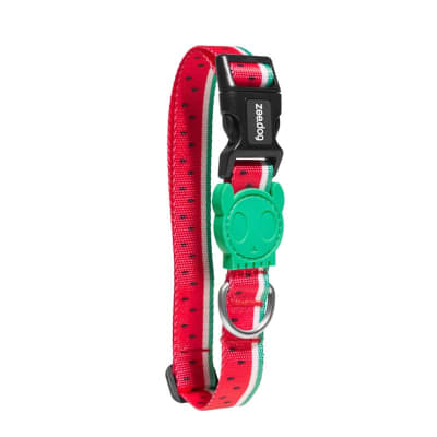 ZEEDOG LOLA COLLAR1 ZEEDOG LOLA COLLAR1