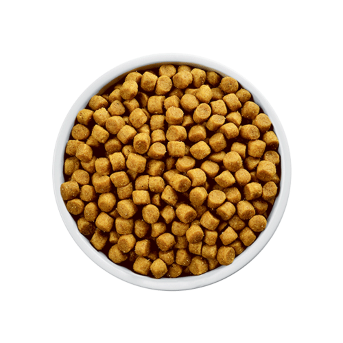 HILLS CANINE L/d | Tree Pet Store