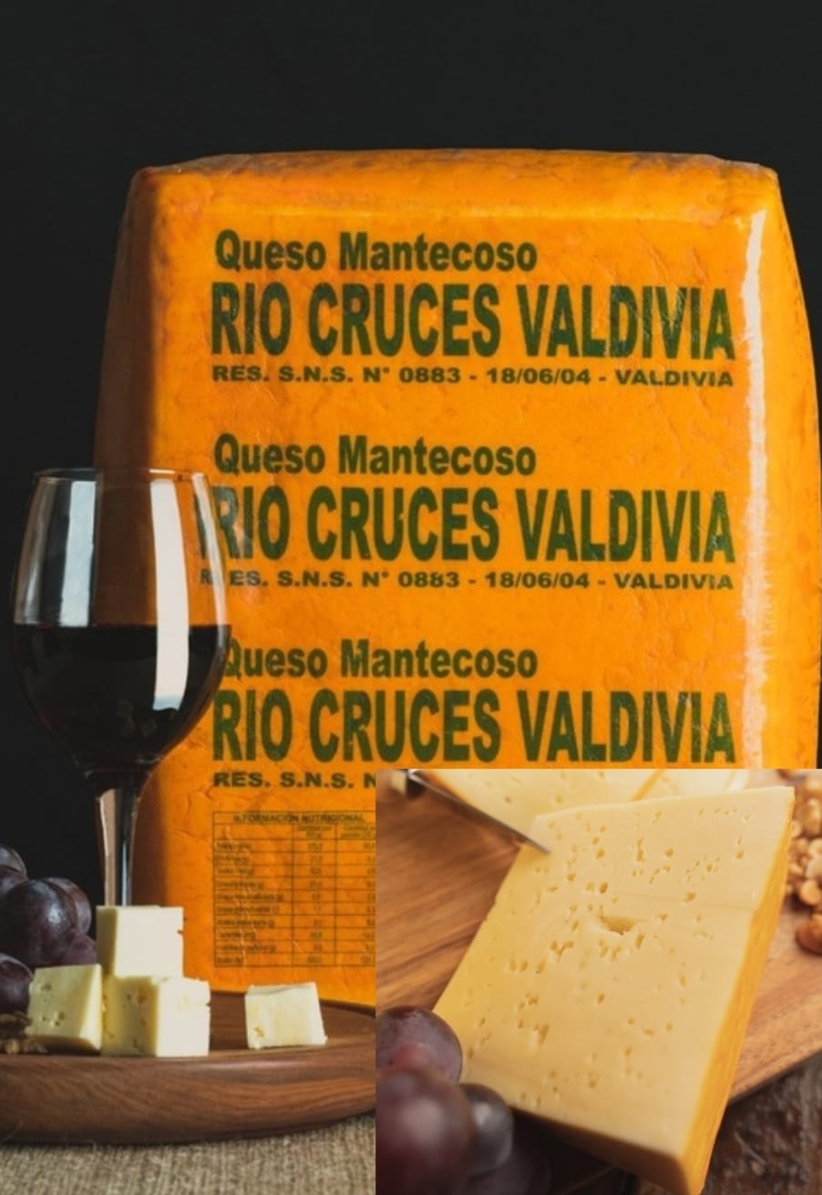 Queso Mantecoso Río Cruces de Valdivia Trozo Granel